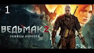 The Witcher 2 - Assassins of Kings - Ведьмак - Убийцы королей 1 часть (1080)