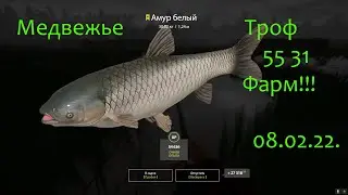 рр4! Медвежье. Трофейный амур! Карпы! Фарм)))
