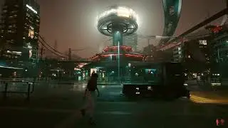 Cyberpunk 2077 Female NPC Followed