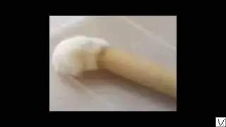 hamster launch