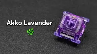 Akko V3 Lavender Purple Pro Tactile Switch Sound Test  - Clacky High-pitched