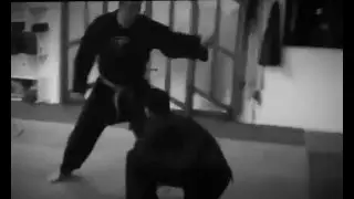 hibari - Jin Ryaku No maki