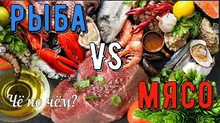 Цены на Северном Кипре. Рыбная и мясная лавка 