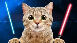 The Cat Evolved Into The Microwave Proof Cat (Beat Saber)