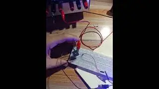 عمل وحماية الحمل عند انعكاس الأقطاب Load operation and protection at reverse poles