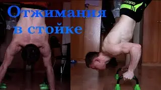 Отжимание в стойке | Прогресс за 5 месяцев