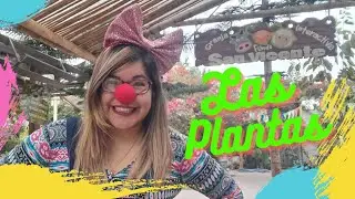 58. "Las Plantas" - Clases Virtuales Inicial