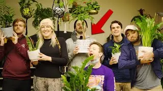 The Crew Buys Plants for their Desks (Editor Submission)