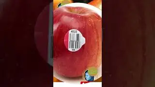 ఫలాలపై నంబర్ స్టిక్కర్లు ఏమిటి? | What Do the Labels on Fruit Mean?