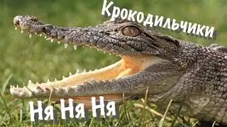 КРОКОДИЛЬЧИКИ