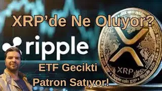 Ripple XRP is Falling! Whales are Buying, Founder is Selling! What's Happening?