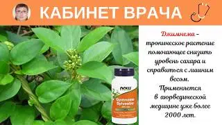 Джимнема - средство аюрведической медицины для снижения сахара и коррекции веса.