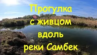 Река Самбек. Ловля щуки на живца.