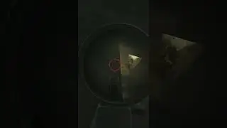 Does audio work?