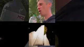 29 мая 2024 г.