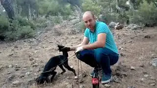 hayvanlarda uyuz hastalığına 100 de100 çözüm