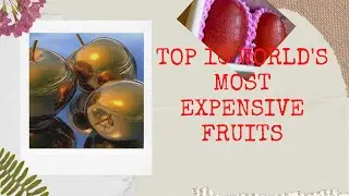 Top 10 World's Most Expensive Fruits
