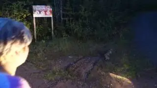 Зайчата Зареченск 2015