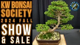 KW Bonsai Society 2024 Fall Show - Photo Slideshow