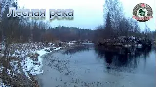 Ноябрь. Лесная река. В поисках хариуса.