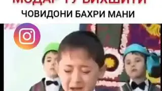 Бахри модар