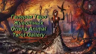 Галерея Таро Животных — Oriens Animal Tarot Gallery