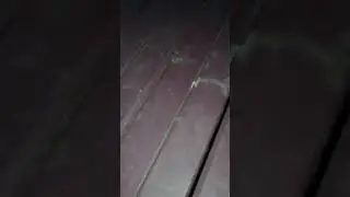 Не понятное явление...