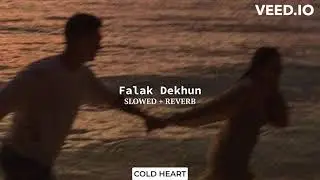 Falak Dekhun (SLOWED + REVERB) | Sonu Nigam | COLD HEART