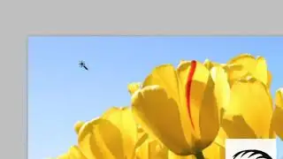 How To Create Selections in Photoshop part 2