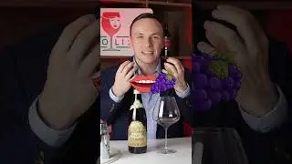 Amarone della Valpolicella - Tommasi
