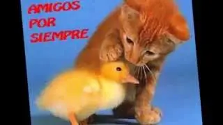 AMIGOS ETERNOS S2