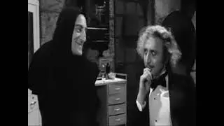 Young Frankenstein  Whos brain was it