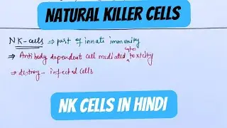 NK Cells in Hindi☺️//Natural killer cells class 12 Biology🔥 // NCERT 12 Biology new videos immunity