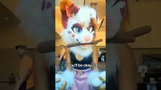 #furries