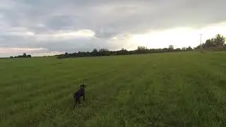 Охота на дупеля в день ВДВ