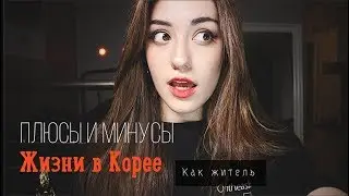 ПЛЮСЫ и МИНУСЫ Кореи как житель