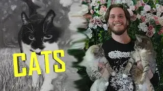 Cat Drawing! Backgrounds and Fur