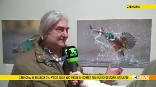 Cremona, le bellezze del parco Adda sud messe in mostra nel museo di storia naturale,