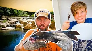 Are our CATFISH big enough to EAT? (catch 'n cook from our backyard pond)