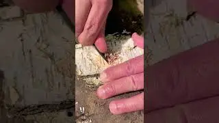 ✅A Great Survival Skill Idea That Could Save Your Life.🔥 #camping #survival #bushcraft #fire