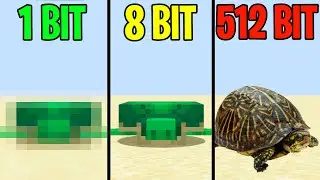 turtle 1 bit 2 bit 4 bit 8 bit 16 bit 32 bit 64 bit 128 bits 256 bit 512 bit