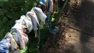 Родники, святые источники урочище Салолейка