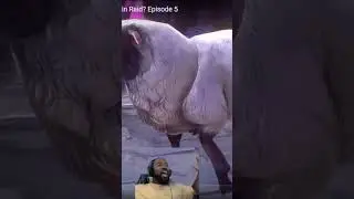 what's next in raid reaction - theres sheep!?