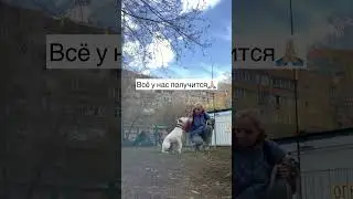 😊Конечно, у Тэффи не всегда получается и не всегда она слушается) Но она очень старается😍 