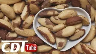 7 Surprising Facts about Brazil Nuts | CDT NEWS
