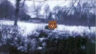 Pojeb ktory nie umie salta