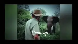 Goldest mement 🥶#short #shortvideo