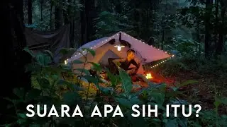 Camping in heavy rain Exploring the forest and cooking