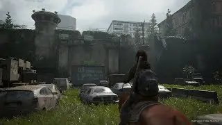 The Last of Us Part II - Прохождение | Часть 4 - Засада