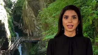 DXN Vinaigrette ( Tudj meg többet! )